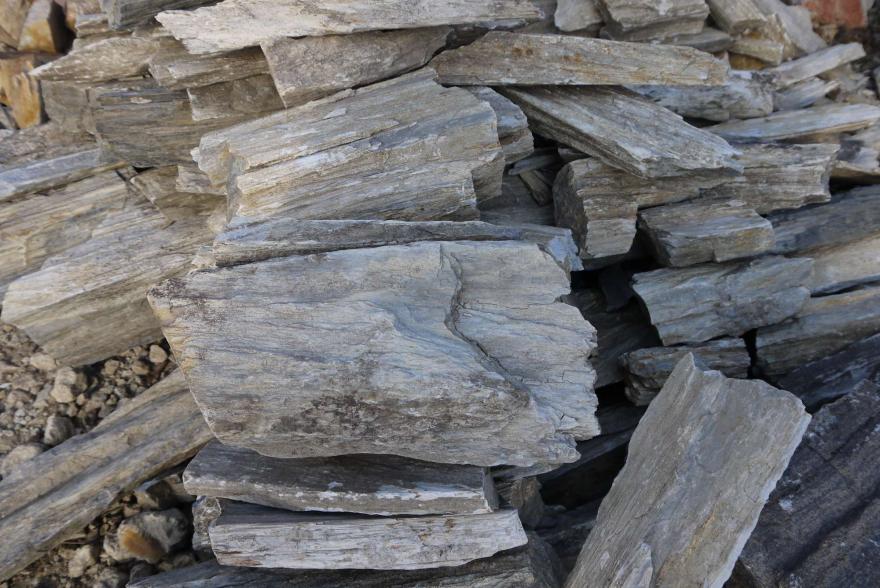 Ландшафтный камень - Окаменелое дерево - 3