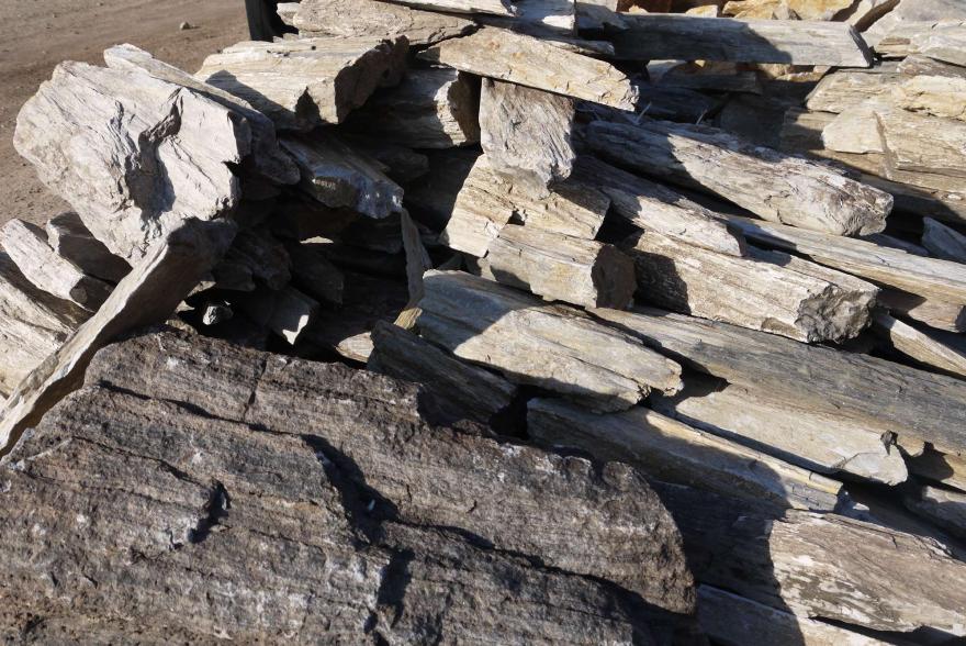 Ландшафтный камень - Окаменелое дерево - 4